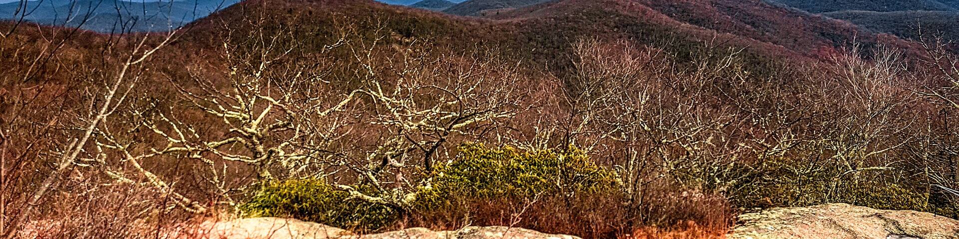 It's always hiking season. Virginia may not have the mountains of New Hampshire, but they sure have some views.
#trovember #adventure #hiking #outsideeveryday #neverstopexploring