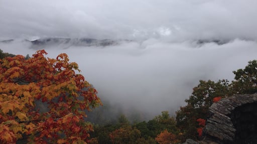 These falls are tucked in one of the small towns of Virginia. The trail is around 2.9 miles to the very top of the falls. The views are breathtaking along the trail and just amazing on the top of the falls. Really enjoyed this hike.