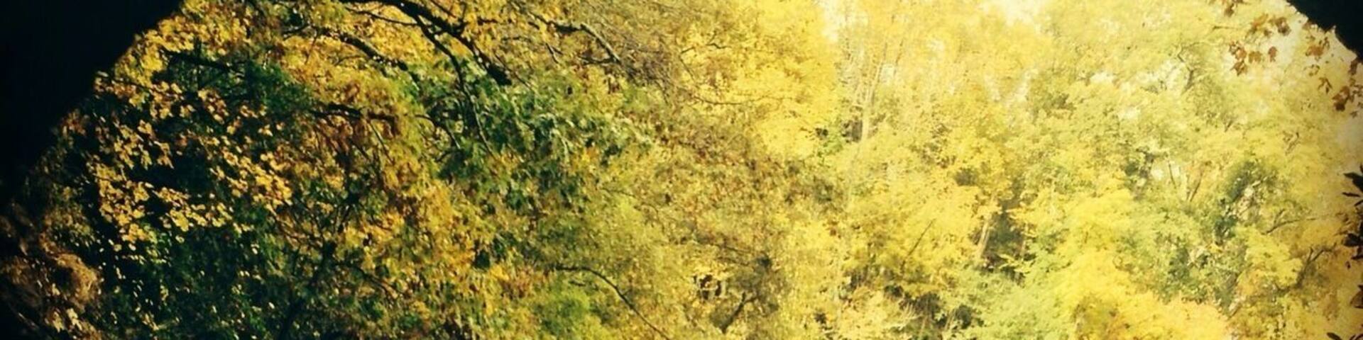 Blue Ridge Parkway in North Carolina searching for tunnel trolls....