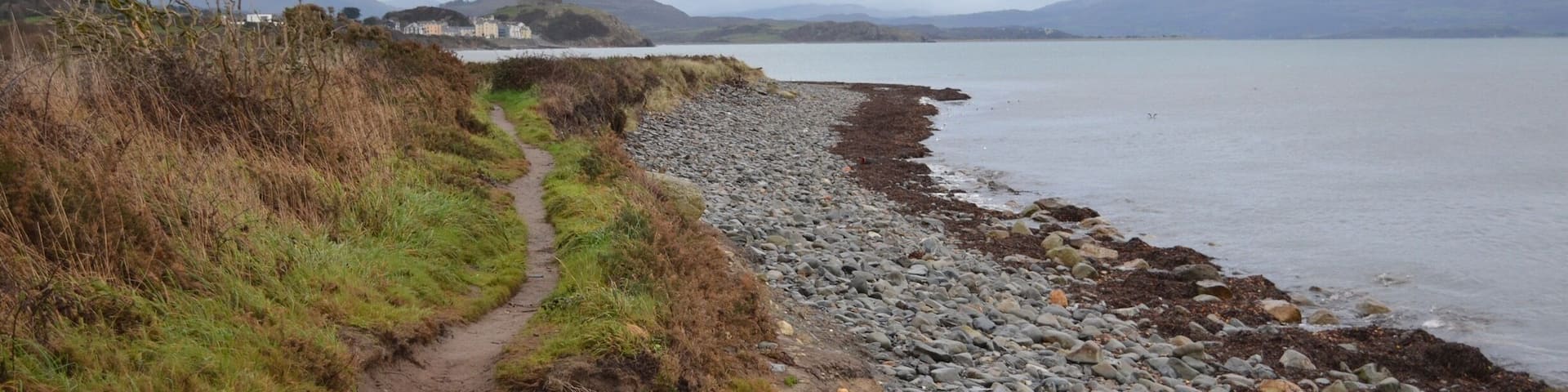 A coastal path with a rocky shoreline, a grassy trail, and distant mountains under a cloudy sky.