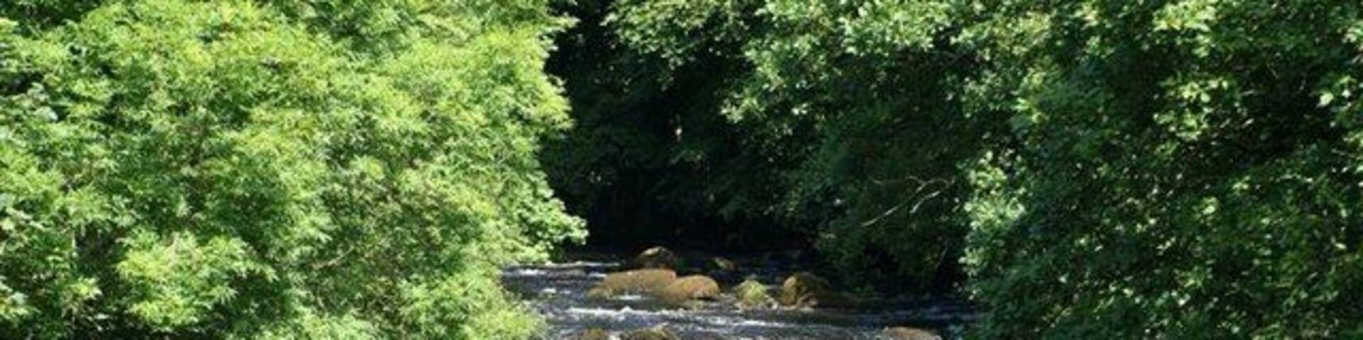 Afon Dwyfor - Llanystumdwy Standing on the bridge in Llanystumdwy the river is heading towards the sea, the water is clean and surrounded with mature deciduous trees.