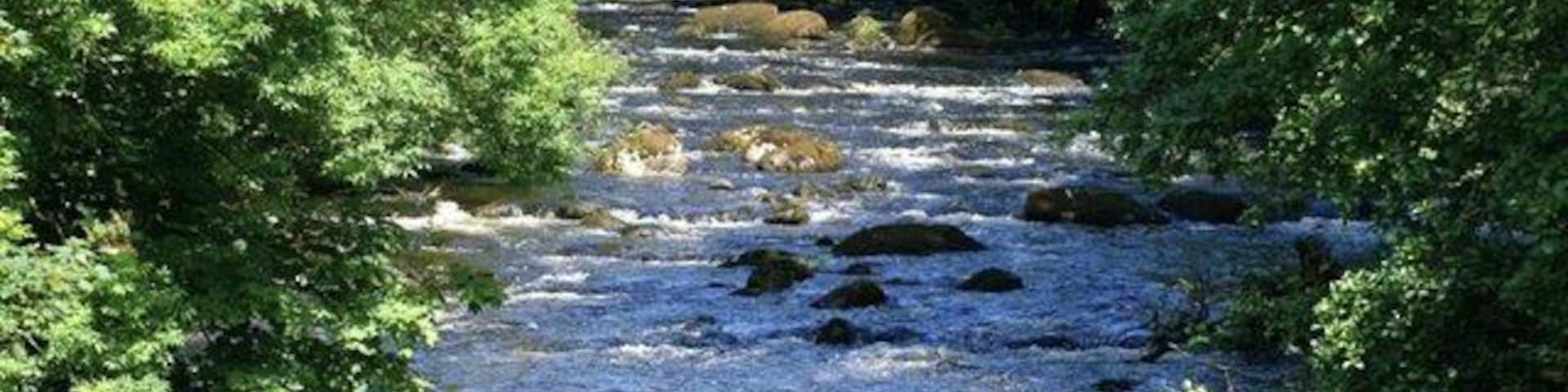 Afon Dwyfor - Llanystumdwy Standing on the bridge in Llanystumdwy the river is heading towards the sea, the water is clean and surrounded with mature deciduous trees.