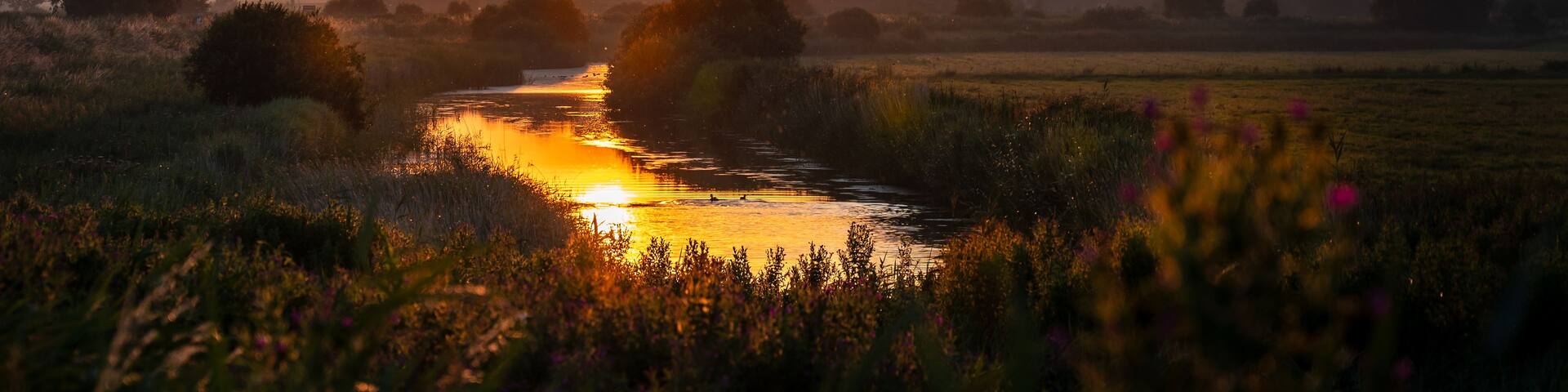 A sunset over a river with trees and fields.