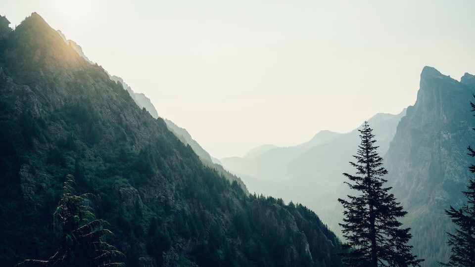 A mountainous landscape with dense forests and towering peaks.