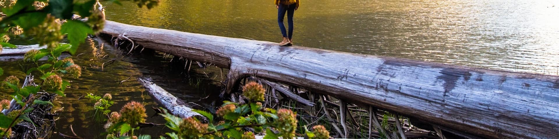 Girl standing on the log on Barclay Lake with the view of Mount Baring in Washington state, USA