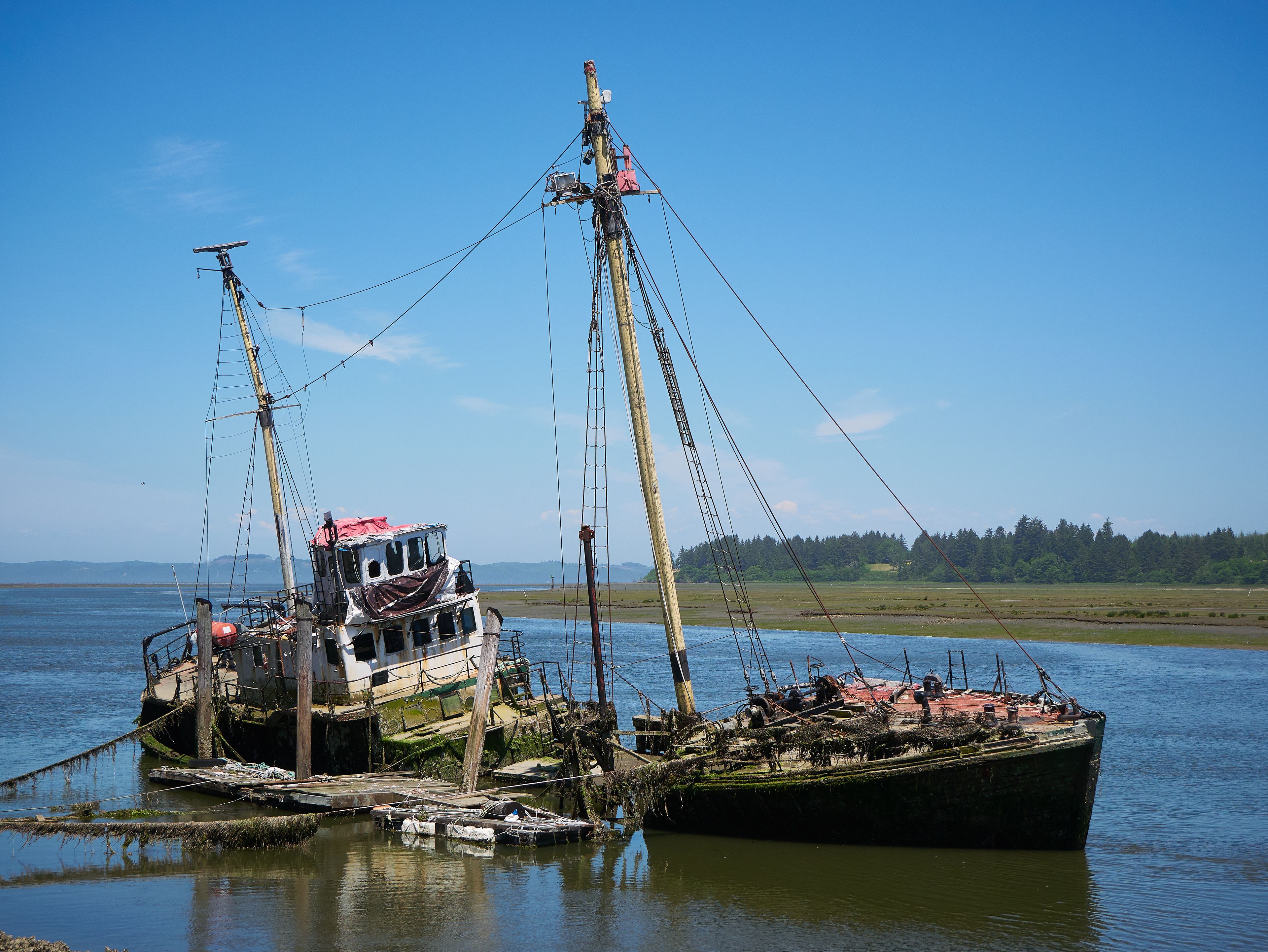 Sunken ship on Willapa Bay, Bay Center, Washington