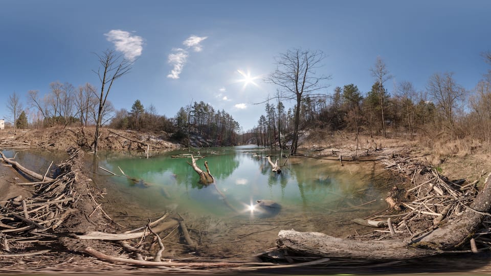 A river with clear water, surrounded by trees and driftwood.