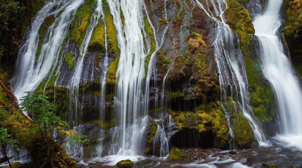 Panoramic view of the part of Panther Creek Falls in the Washington state.