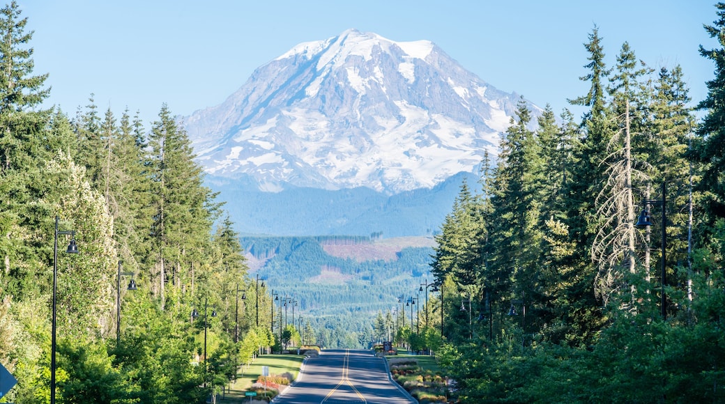 Bonney Lake