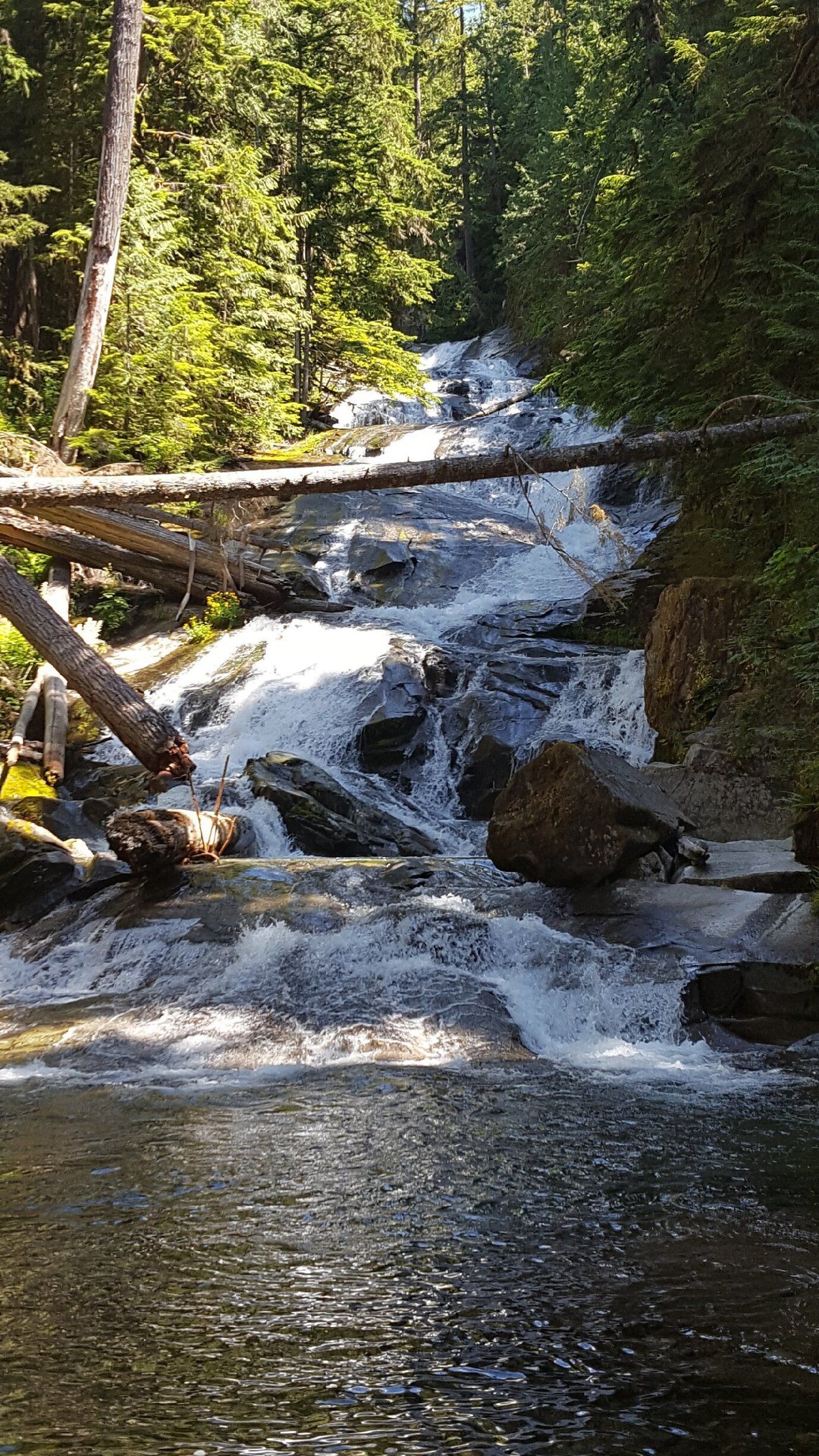 For those who love waterfalls...

#lifeatexpedia
#green
#PNW