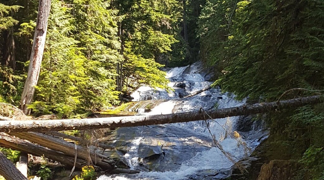 For those who love waterfalls...
#lifeatexpedia
#green
#PNW