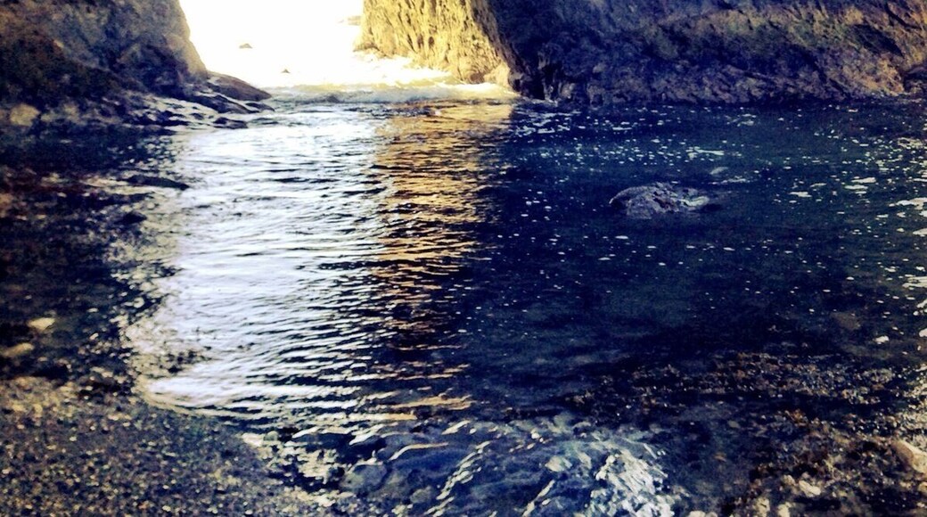 #troveon I have no idea how far this hike on the beach actually is from where we parked, but I wanted to go back immediately once we finished.