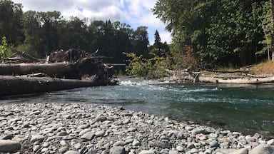 Clean campground with room to play and explore. Hiking paths are easily found, quite a few hills make this a moderate hike (kids do fine, but be careful if you have knee issues). There is a chance you will see herds of elk near the Dosewallips River, and the river itself is great fun. Nearby there are more places to explore, including a walk right on the Puget Sound shore of Hood Canal.