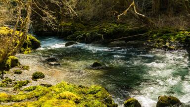 The Dosewallips River flowing on the Olympic Peninsula of Washington near Brinnon, Washington
