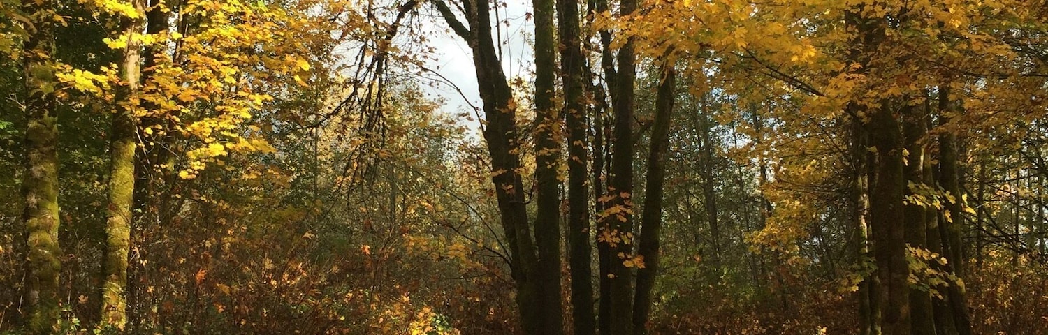 This park is one of my favorite hiking destinations..visit in the fall for beautiful colors and a chance to see our resident Roosevelt Elk