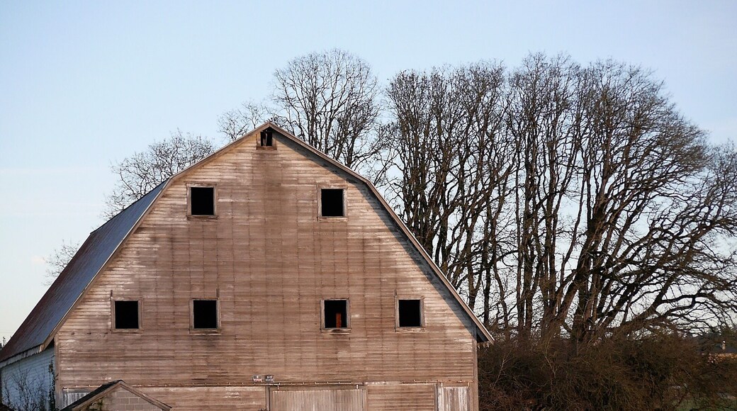A beautiful old barn which has, sadly, fallen out of use.