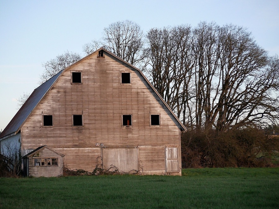 A beautiful old barn which has, sadly, fallen out of use.