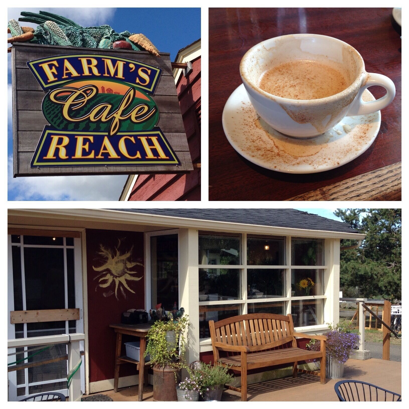 Great little cafe with tables inside & out,  ingredients from six local farms, and beautiful photos of farm life around the walls. The burritos and cookies both look yummy. 