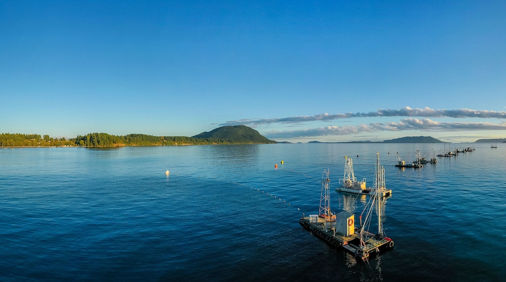 Reefnet Salmon Fishing Boats Off Lummi Island, Washington. Wild Pacific salmon reefnet fishing is an historical Pacific Northwest fishing method- the oldest known salmon net fishery in the world.