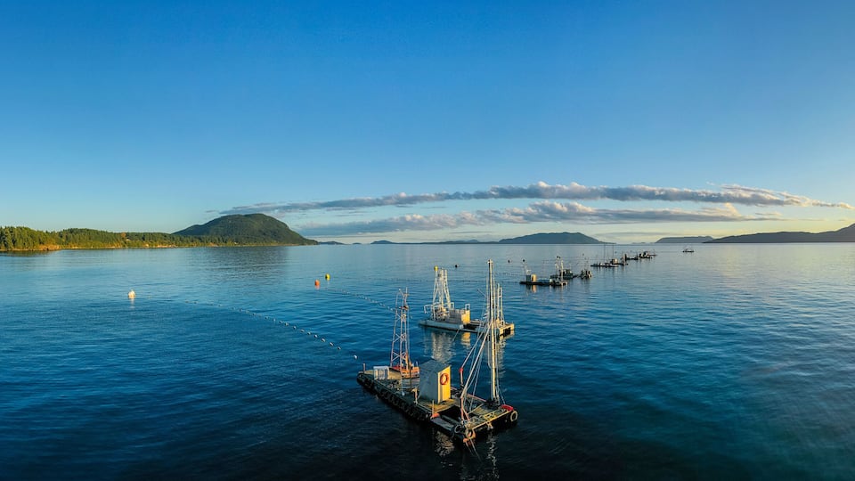 A calm lake with a dock and fishing boats, surrounded by mountains and a clear sky.