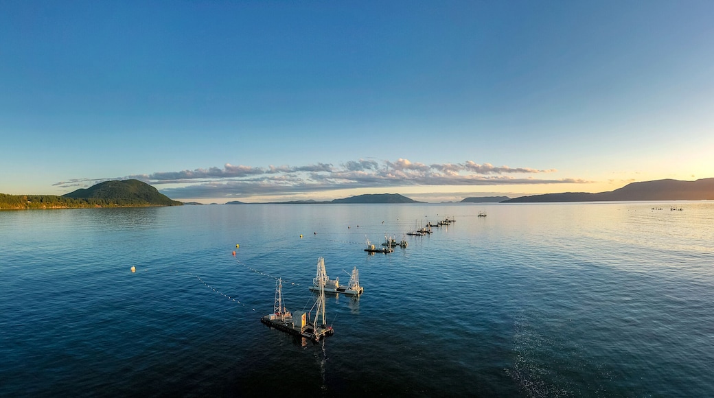 Reefnet Salmon Fishing Boats Off Lummi Island, Washington. Wild Pacific salmon reefnet fishing is an historical Pacific Northwest fishing method- the oldest known salmon net fishery in the world.