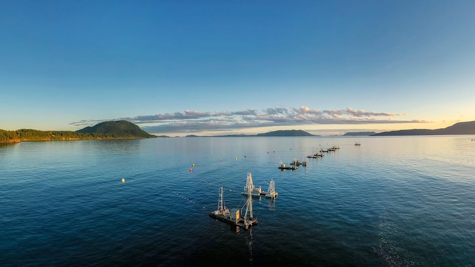 A calm lake with boats, a dock, and a forested shoreline.