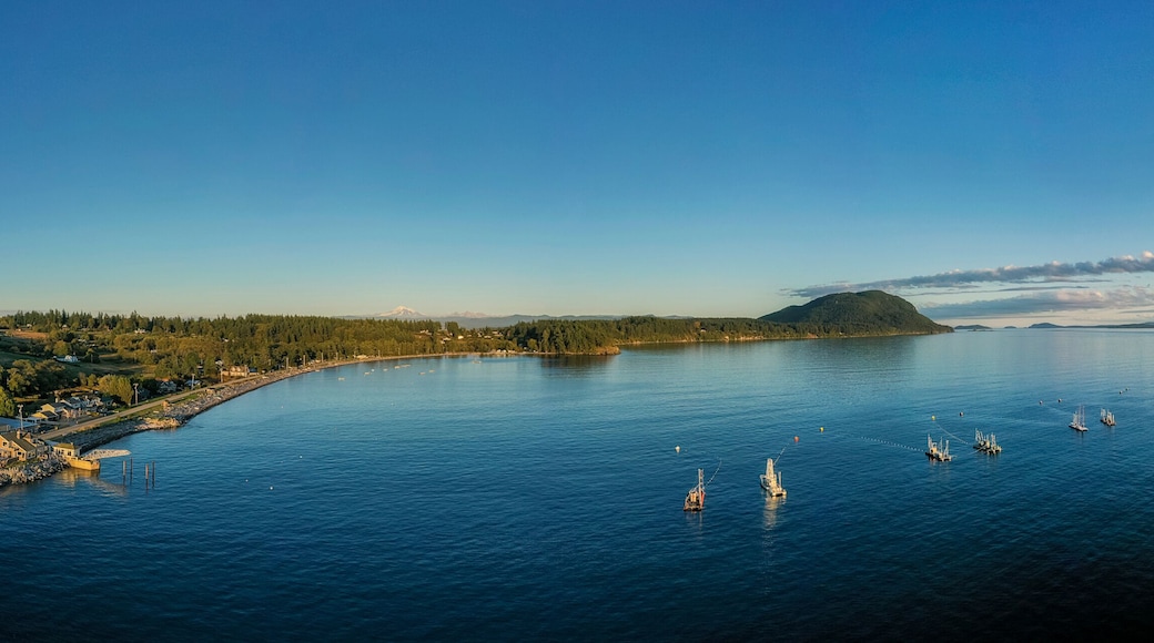 Reefnet Salmon Fishing Boats Off Lummi Island, Washington. Wild Pacific salmon reefnet fishing is an historical Pacific Northwest fishing method- the oldest known salmon net fishery in the world.