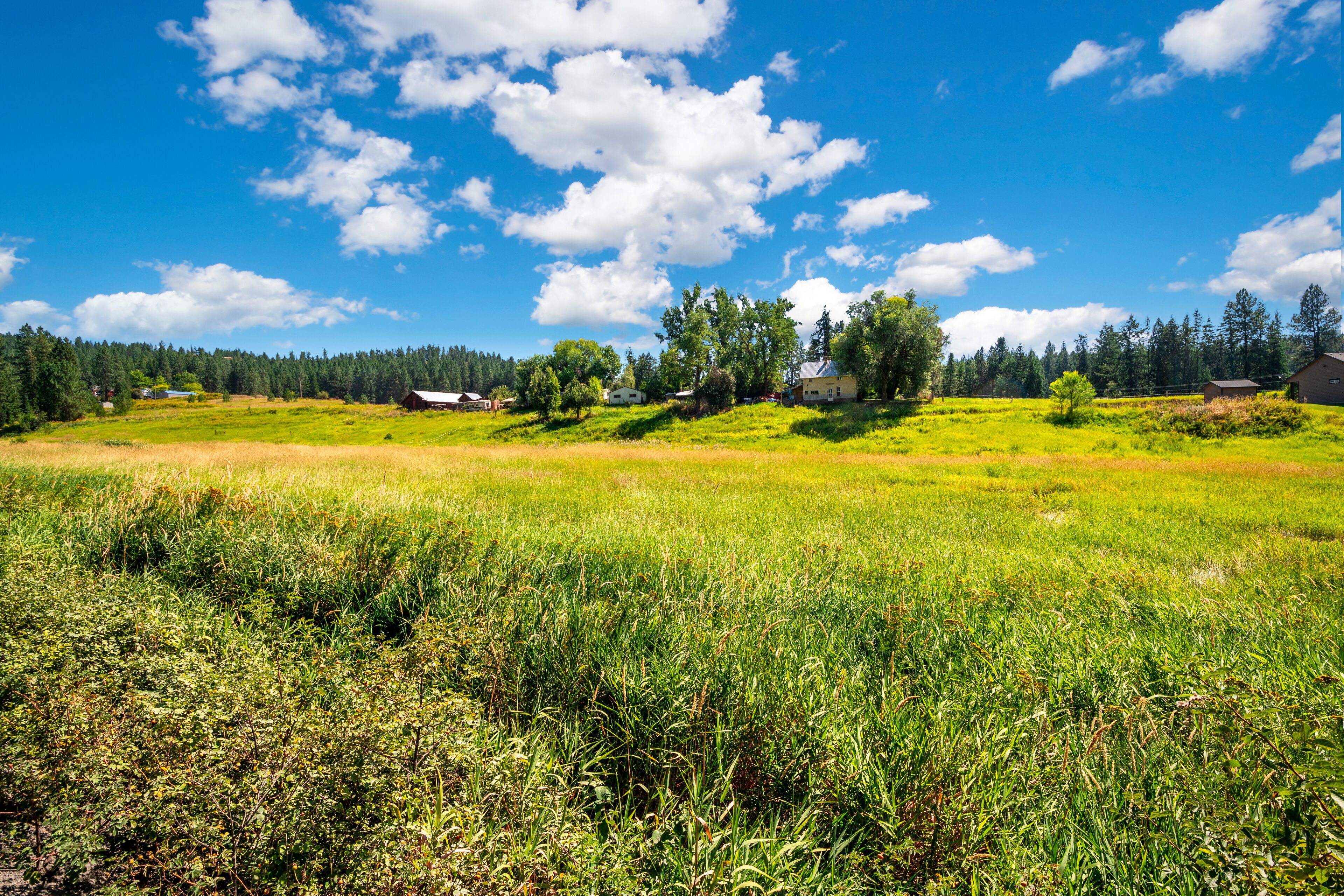 Homes along the top of a small ledge in the rural area near Colbert and Spokane, Washington, USA