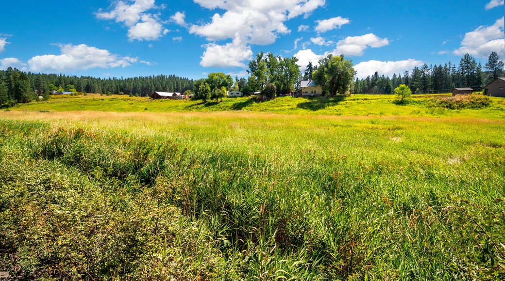 Homes along the top of a small ledge in the rural area near Colbert and Spokane, Washington, USA