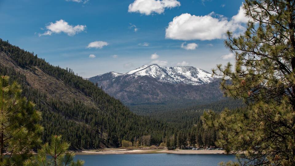 A lake surrounded by mountains and pine trees.