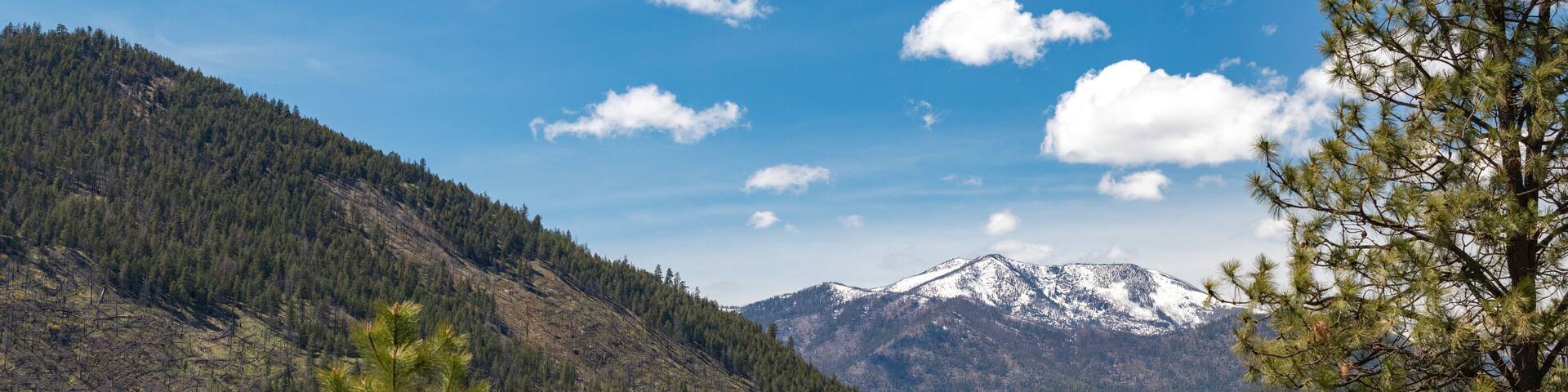 Scenic View of Tiffany Mountain