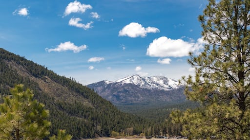 Scenic View of Tiffany Mountain