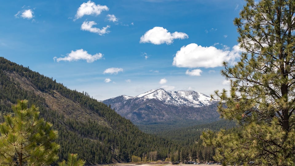A mountainous landscape with dense forests, a clear sky, and snow-capped peaks in the distance.