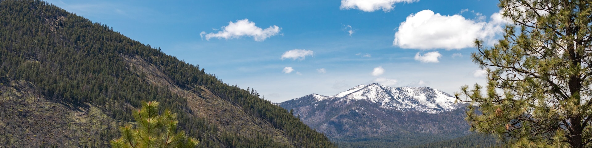 Scenic View of Tiffany Mountain