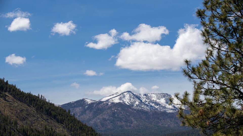 A mountain range with snow-capped peaks, a clear blue sky, and a forested foreground.