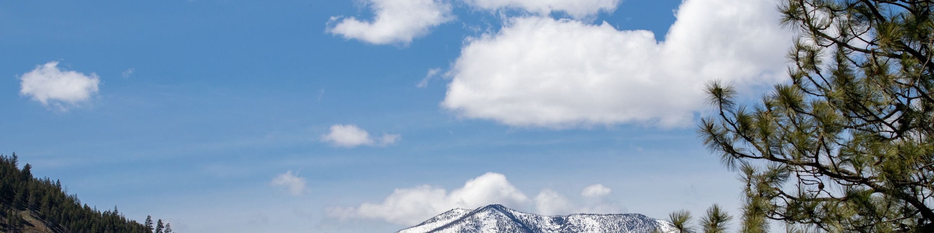 Cordilheira com picos nevados, céu azul límpido e primeiro plano arborizado.
