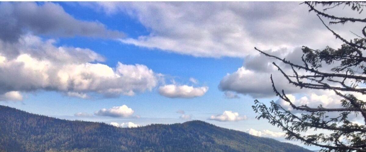 A cross in a forested mountainous area with a clear sky.