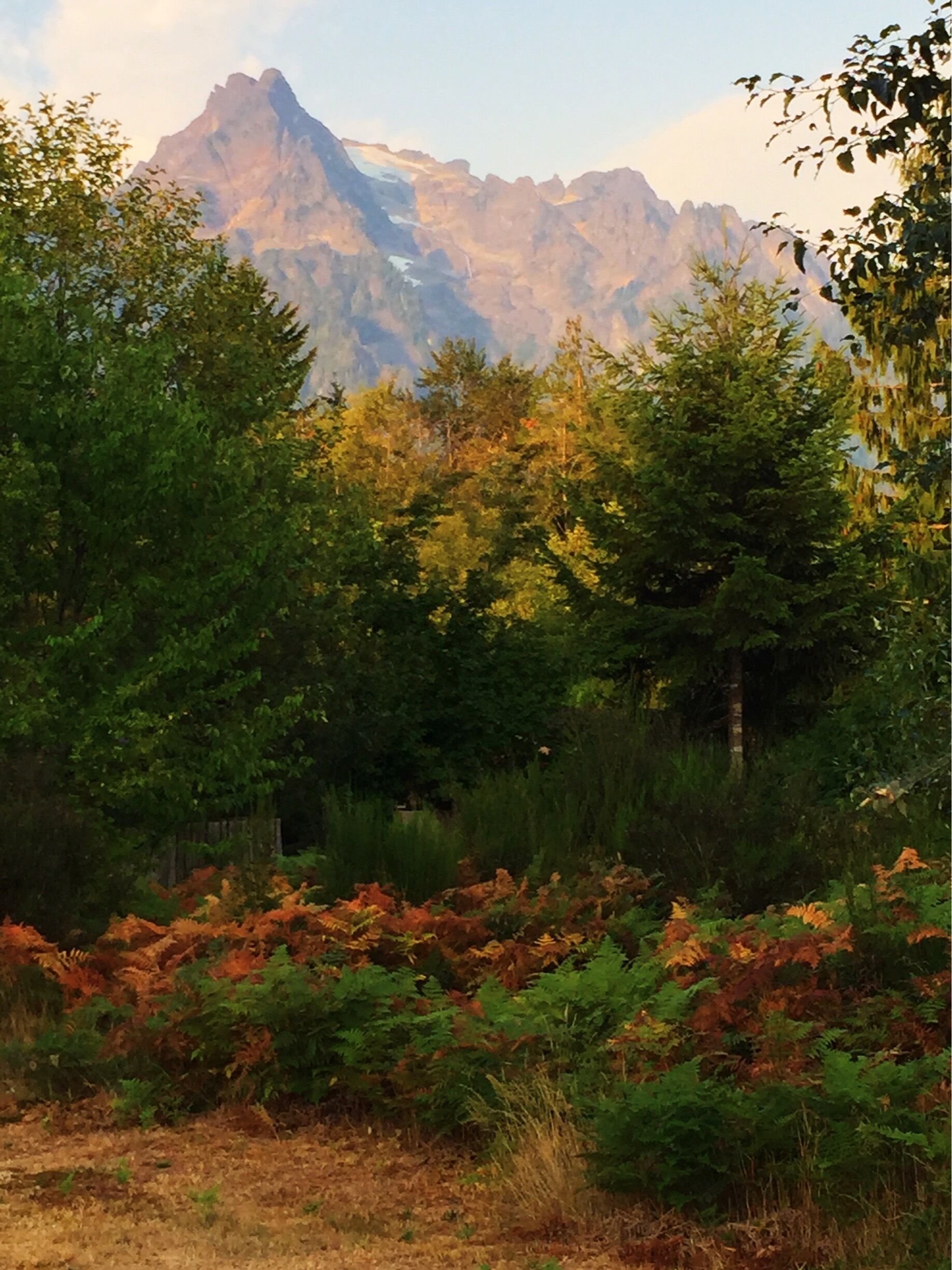 4am start en route to Eldorado trailhead. Before I knew what was in store for me. 

#Eldorado #Washington #PNW #Mountains #Nature #Hiking #NorthernCascades #Travel #Weekend