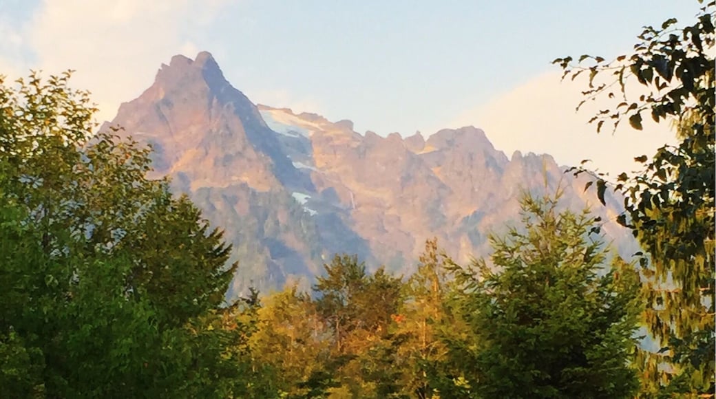 4am start en route to Eldorado trailhead. Before I knew what was in store for me.
#Eldorado #Washington #PNW #Mountains #Nature #Hiking #NorthernCascades #Travel #Weekend