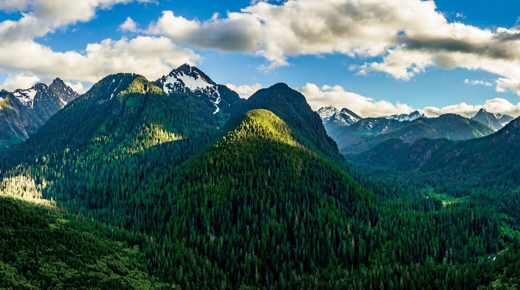Mt. Loop near Darrington