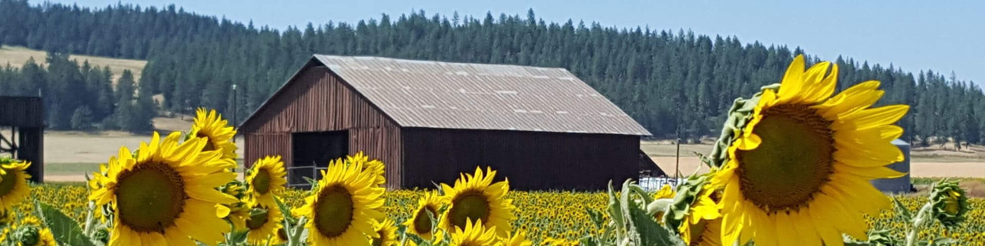 Just South of Deer Park, WA.
