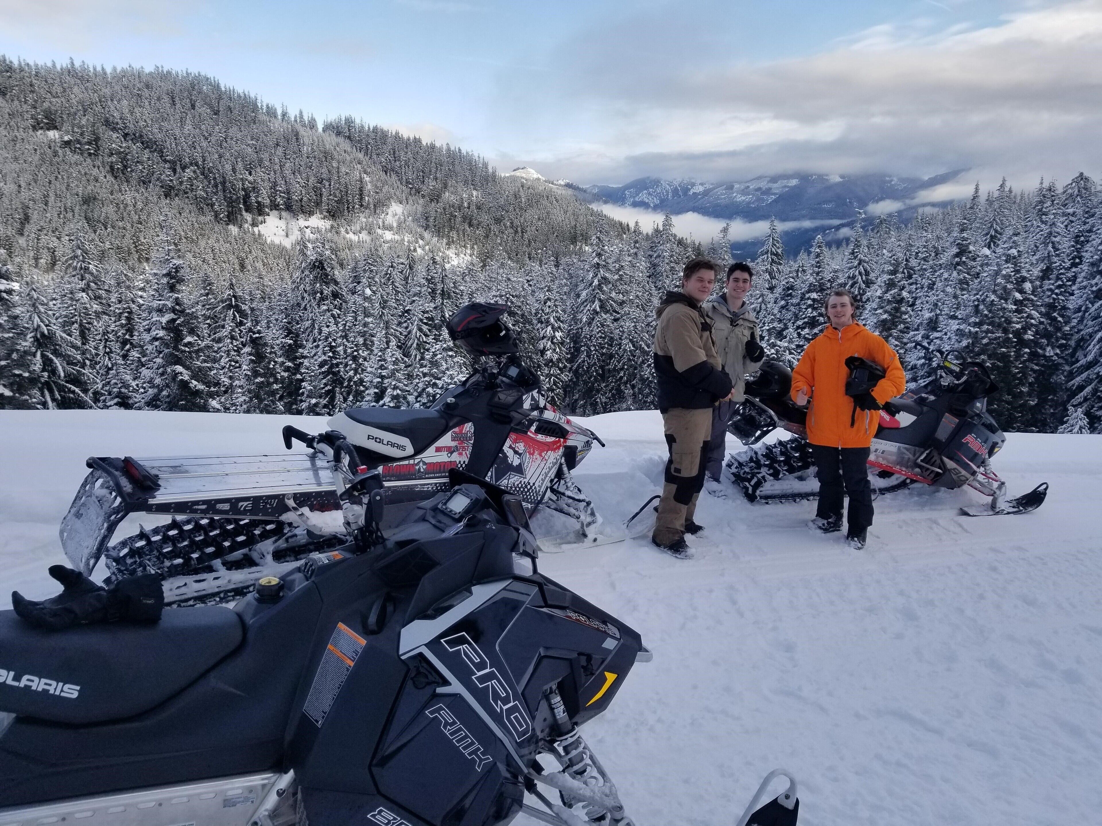 Snowmobiles and a snowy forest landscape.