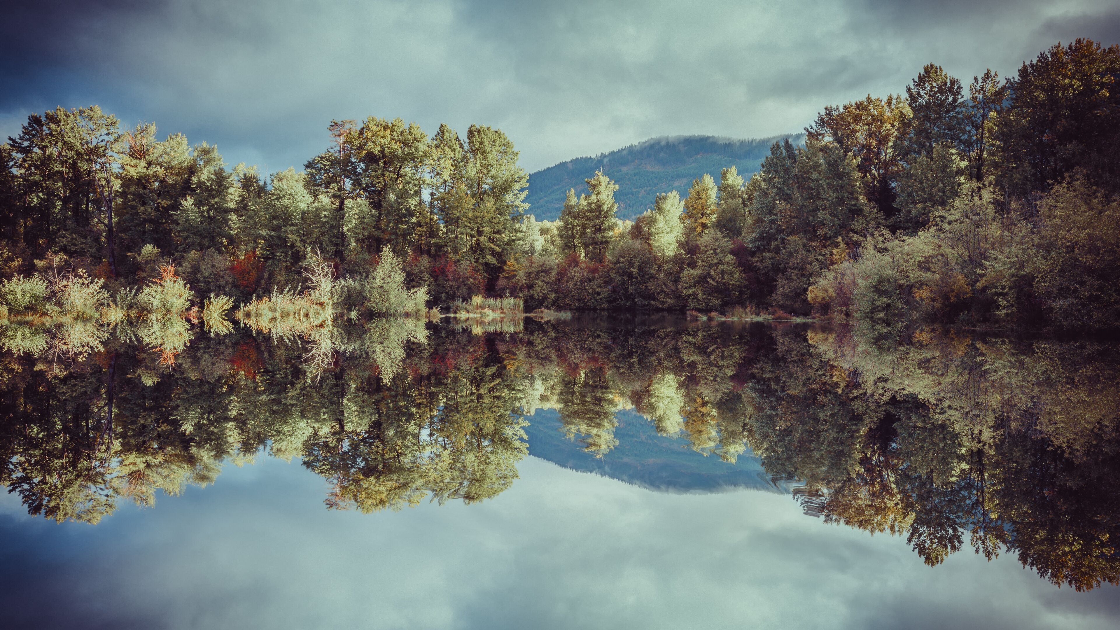 A calm lake reflecting trees and mountains.