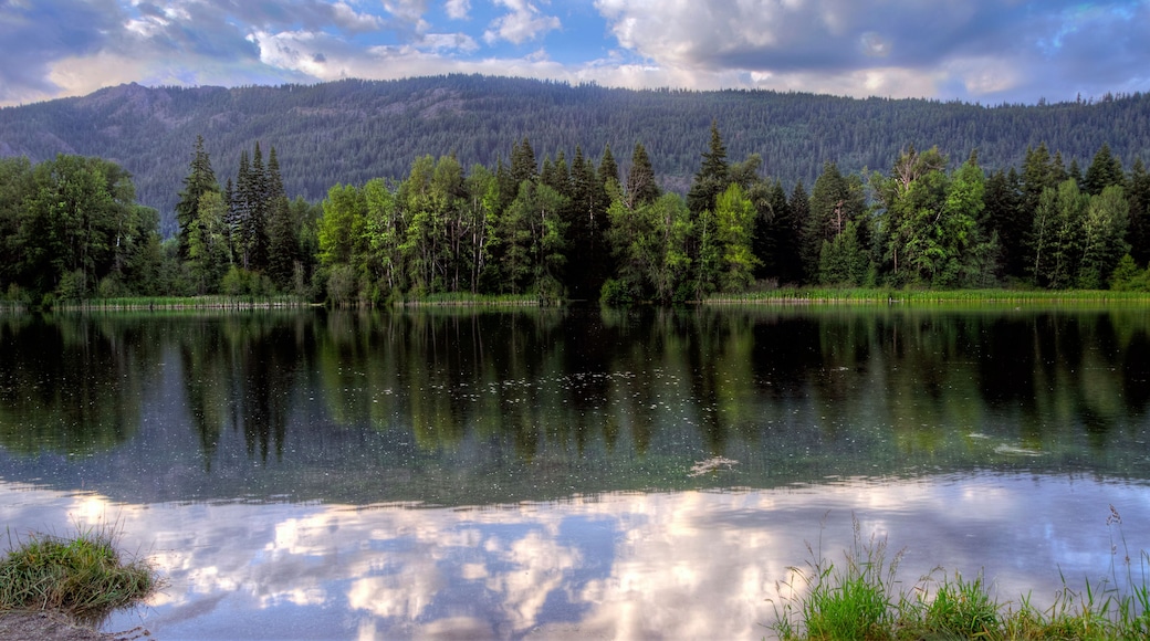 Reflections on Easton Ponds, Washington State in the Cascace Mountains