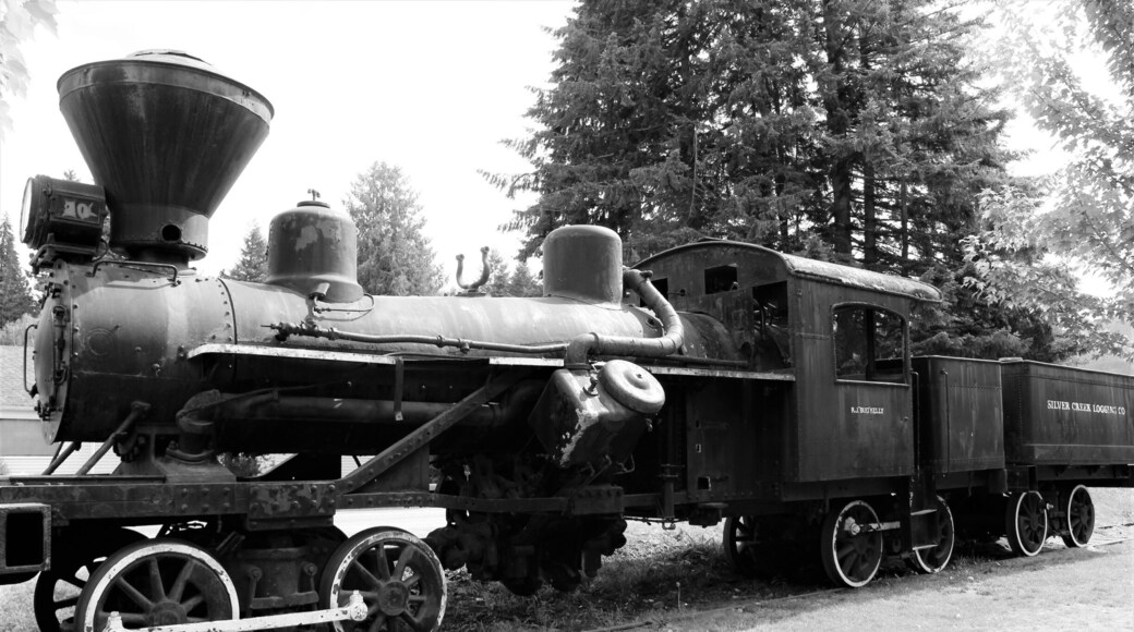 A neat little stop for anyone who loves trains and history. Catch it on the way to Mt.Rainier because on the way back your going to be very tired!