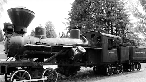 A neat little stop for anyone who loves trains and history. Catch it on the way to Mt.Rainier because on the way back your going to be very tired!