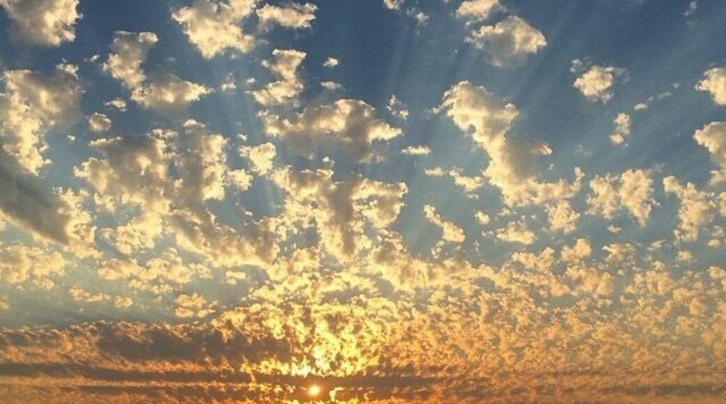 A #beach sunset from where I live on Fox Island. #GoldenHour #TakeAHike