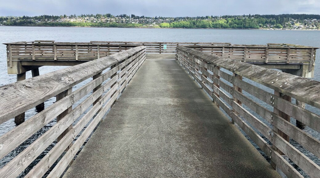 Exploring. We decided to check out Fox Island after visiting family in Gig Harbor. I was surprised that it’s almost completely residential. We saw a Shell gas station on the way back to the bridge but otherwise it was mostly houses and land. We almost stopped by their museum ($1 suggested donation) but it closed minutes before we would have reached it...