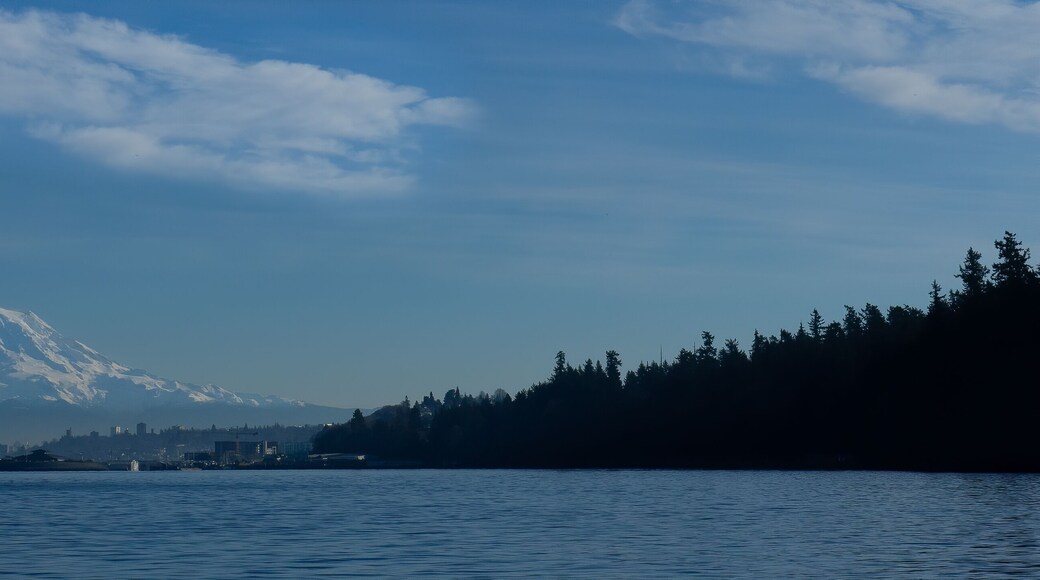 Panorama shot of Mt Rainier and Tacoma's Point Defiance Park as seen on a boat in the Narrows