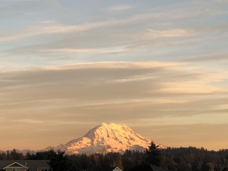 Home ♥️ Mt. Rainier